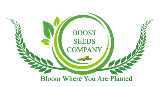 AA37BC9C83594641B3B5197A508598B6 (1)