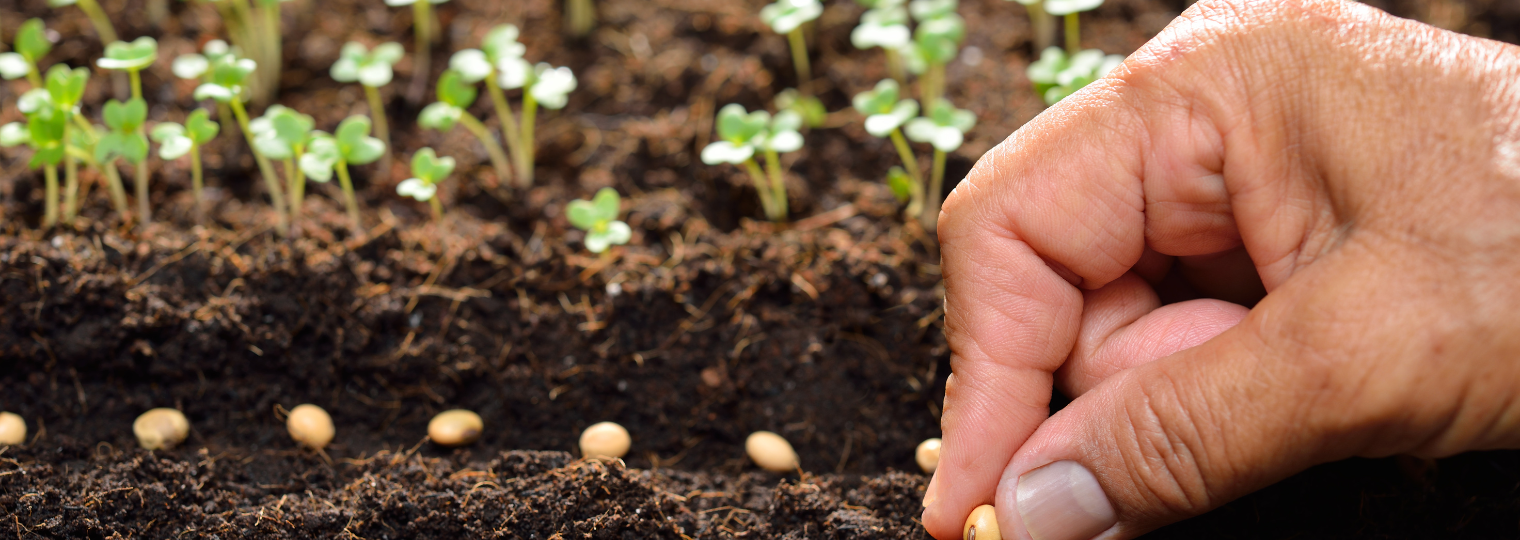 Untitled design - 2023-05-30T160636.462